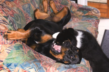 atfots mein bett.jpg