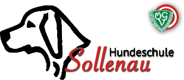 sollenlogo.png