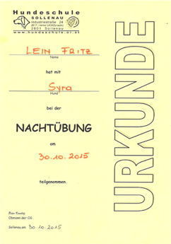 sy nachtübung 2015