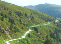 touren  Zillertaler Hoehenstrasse.jpg
